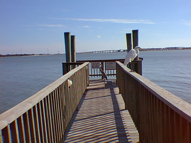 Fishing Dock